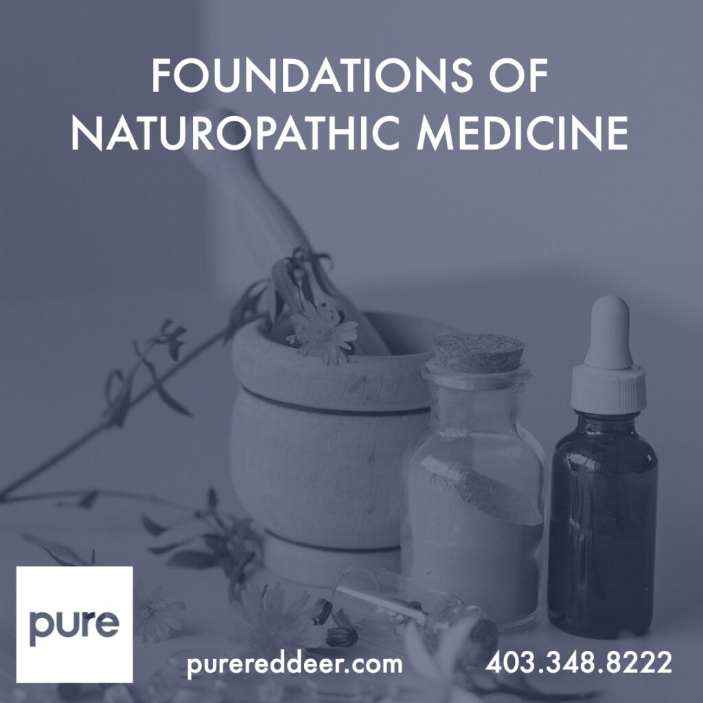 Foundations of Naturopathic Medicine